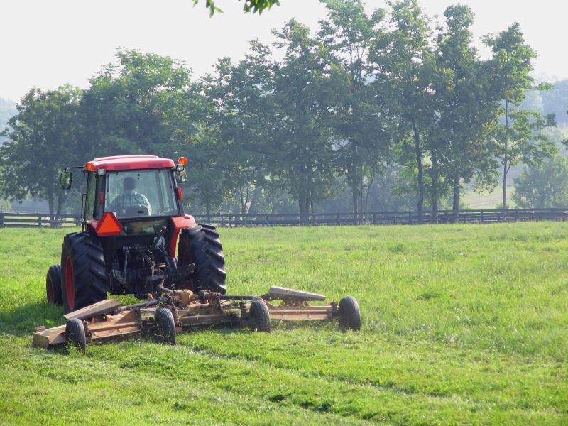Pasture Clearing