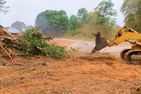 Ground Clearing in Buffalo