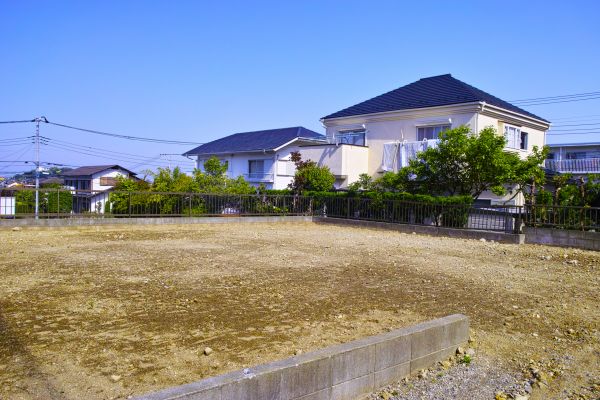 Cost of Lot Clearing Service in Buffalo