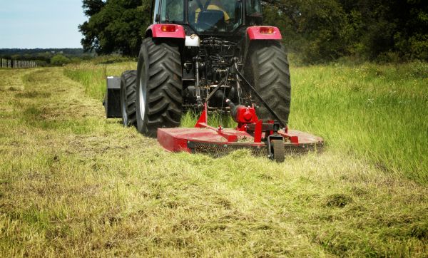 Brush Clearing Service in Buffalo