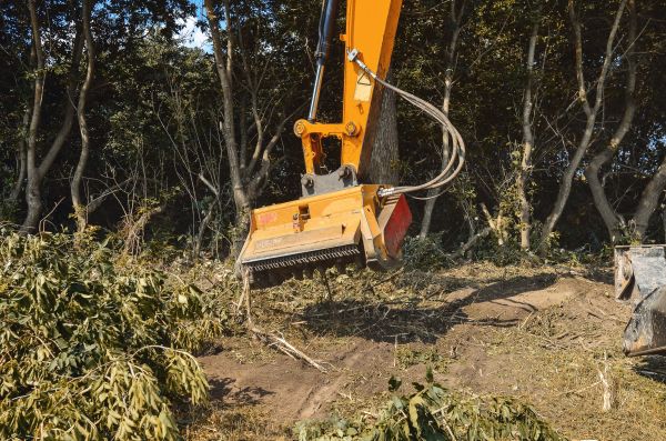 Brush Removal Service in Buffalo