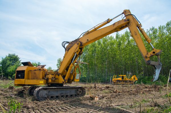 Cost of Farm Clearing in Buffalo