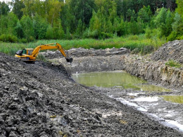 Cost of Lake Lot Clearing in Buffalo