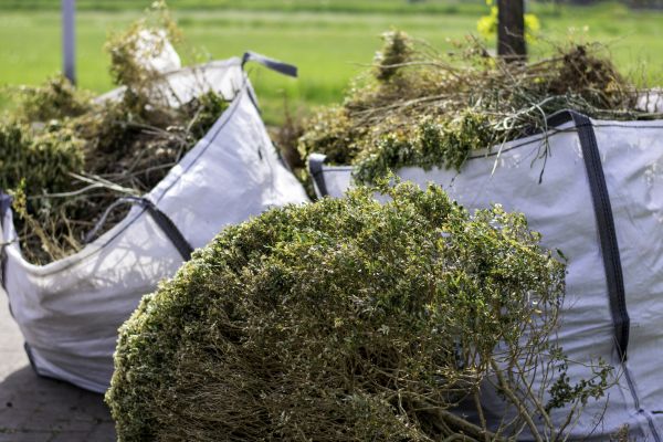 Cost of Bushes Clearing in Buffalo