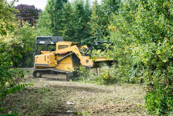 Cost of Pathway Clearing in Buffalo