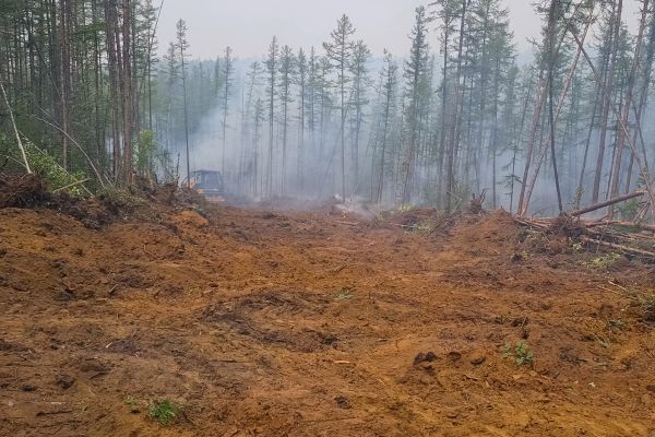 Cost of Hill Clearing in Buffalo