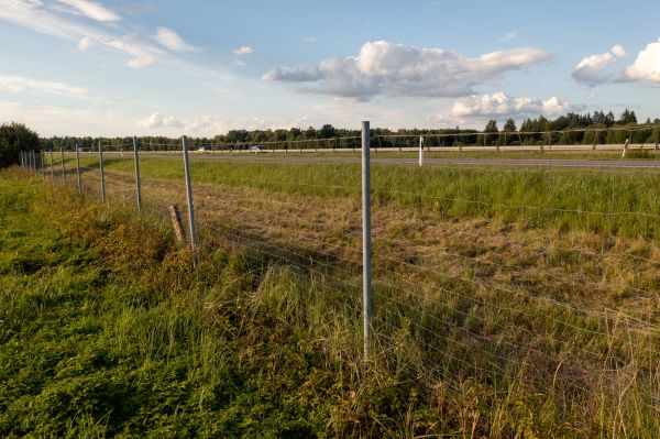 Cost of Property Line Clearing in Buffalo