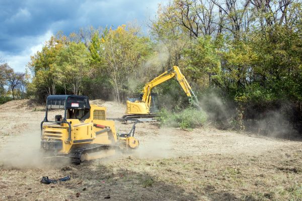 Cost of Terrain Clearing in Buffalo