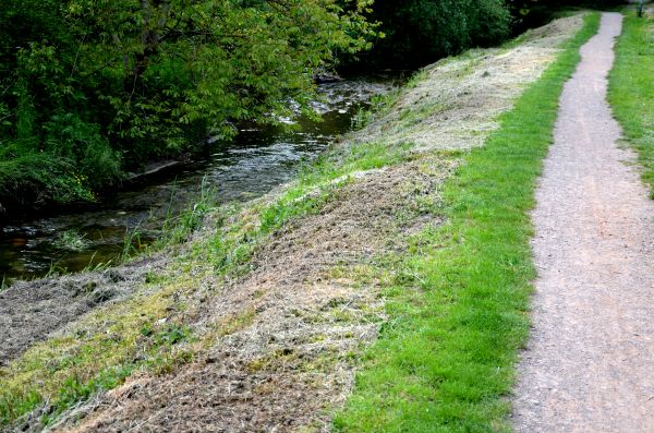 Cost of Trail Cutting in Buffalo